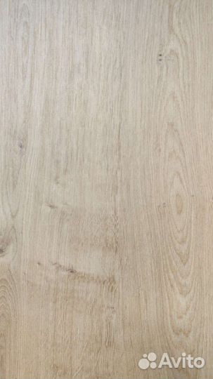 Кухня выставочный образец