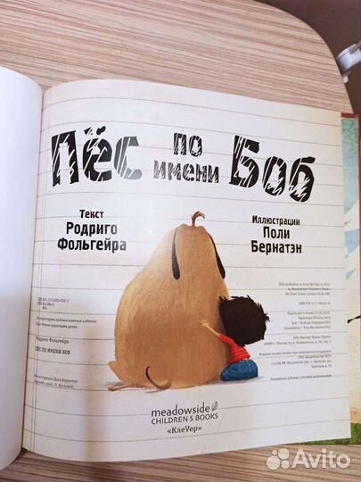 Книга Пёс по имени Боб, Родриго Фольгейра