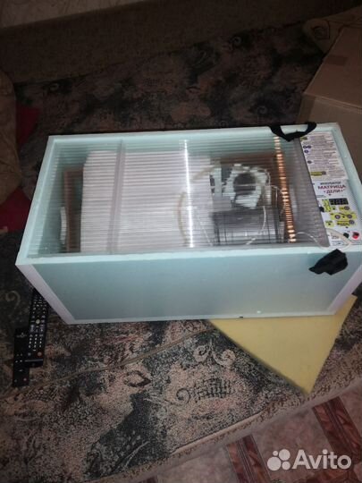 Инкубатор Блиц Матрица-Дели на 72 яйца