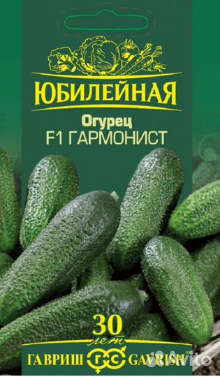Рассада огурца сорт Кураж, артист, гармонист