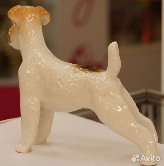 Коллекционая собака лфз 