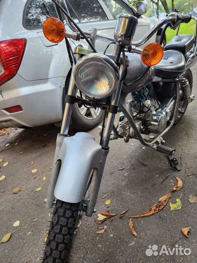 Regal Raptor dd50e автомат