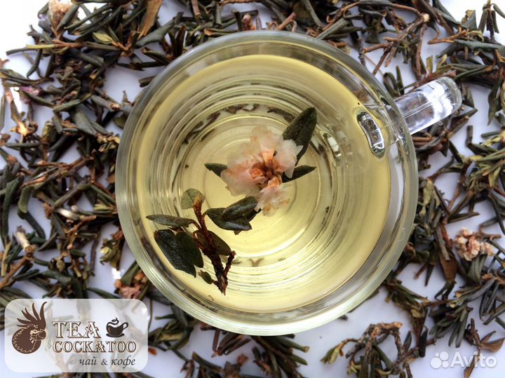 Саган-дайля (Белое крыло)