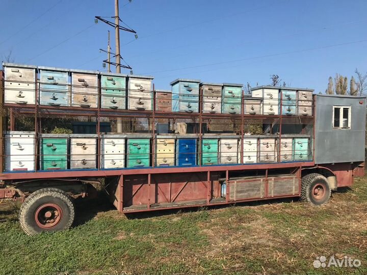 Продаётся пчелоприцеп