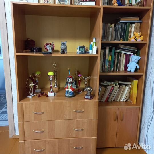 Компьютерный стол и шкаф