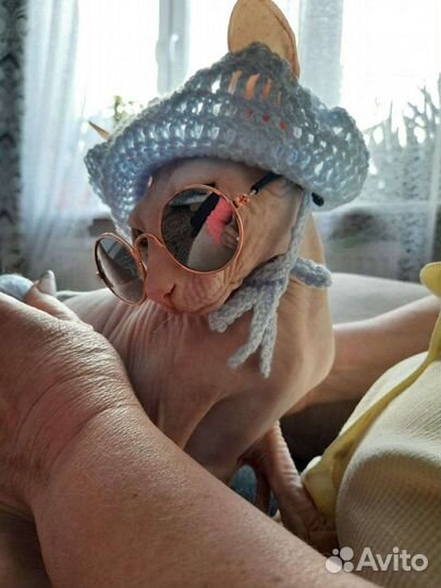 Очки для кошек и маленьких собак