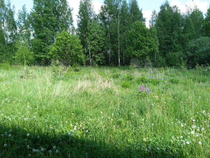 Дом 72 м² на участке 22 сот.