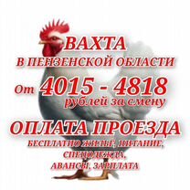 Вахта в Пензе Фасовщик/ца проезд жилье еда, Вольск