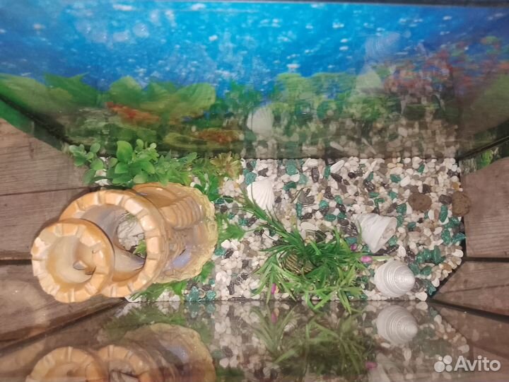 Аквариум
