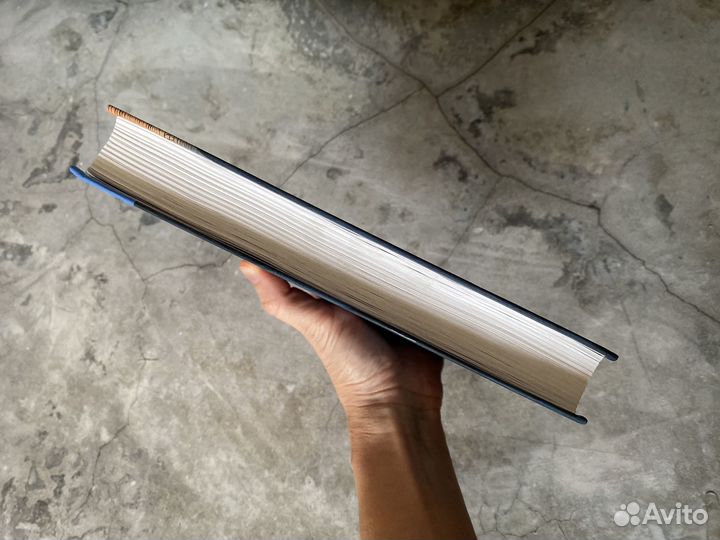 Дмитрий Овсянников 