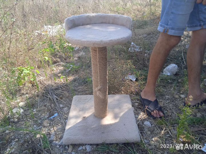 Когтеточка