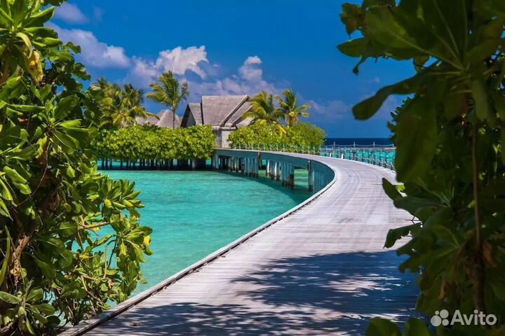 VIP Тур на Мальдивы Ayada Maldives 5*