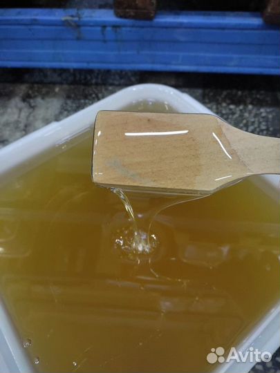 Липовый мёд Свежий Качка 2023 год