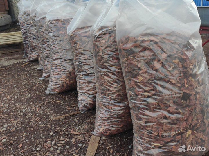 Кора лиственницы