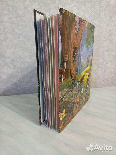 Энциклопедия Deagostini на кольцах Тайны леса