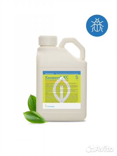 Конвент, кс