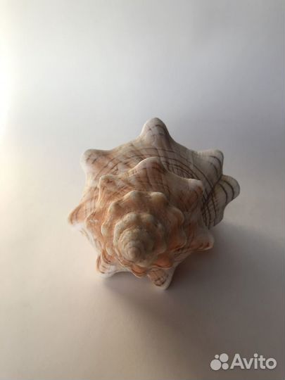 Раковина аквариум