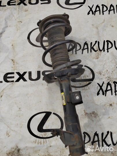 Амортизатор передний Toyota Rav4 axaa52 2019-Н.в