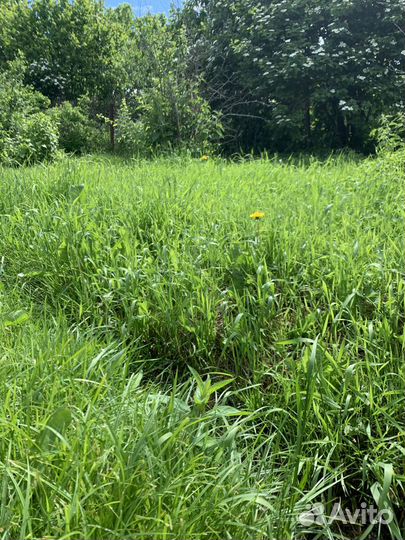 Покос травы газонокосилкой