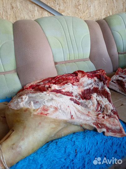 Продам мясо свинина