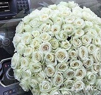 Высокие розы Доставка цветов