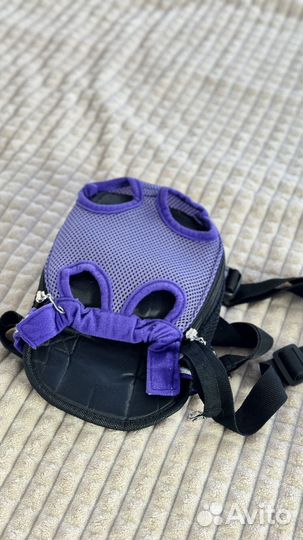 Для маленькой собаки