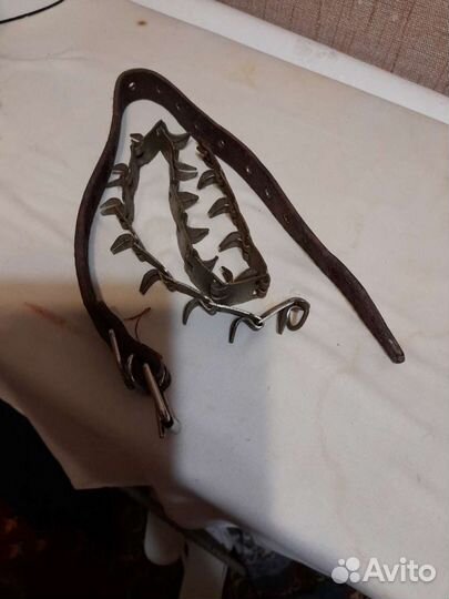 Ошейник для собаки