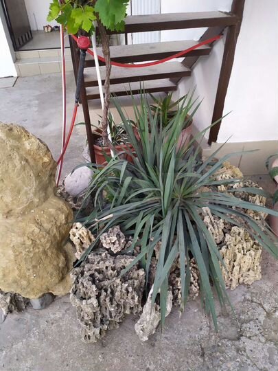 2-к. квартира, 46 м², 1/2 эт.