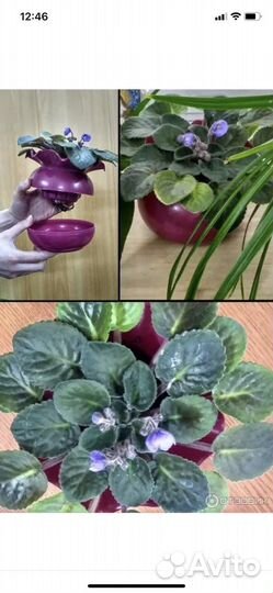 Горшки для фиалок