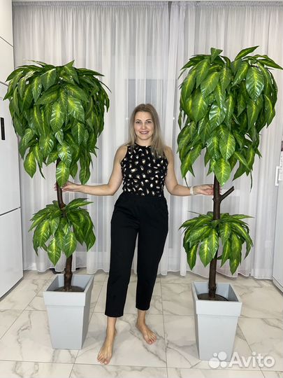 Искусственное дерево Манго