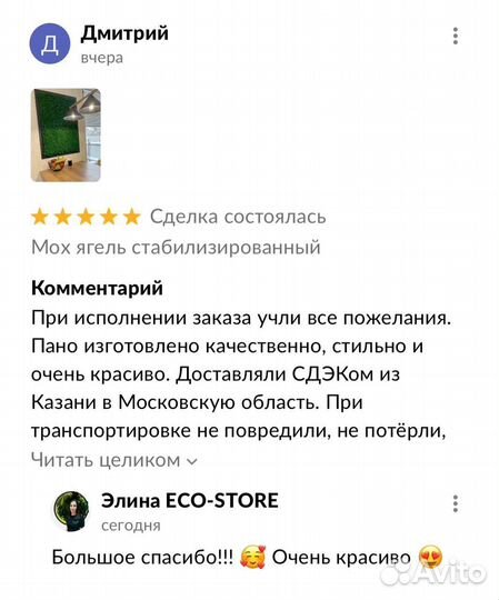 Картина из мха + подсветка 100 см