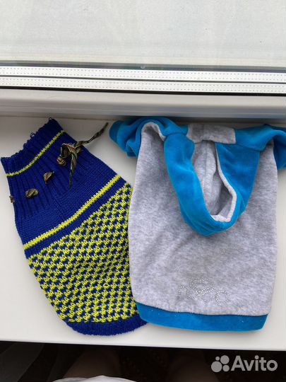 Одежда для маленьких собак