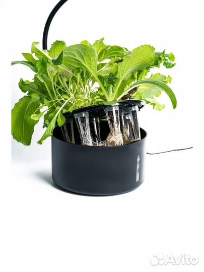 Умный сад/Гидропоника/Гидропонная установка