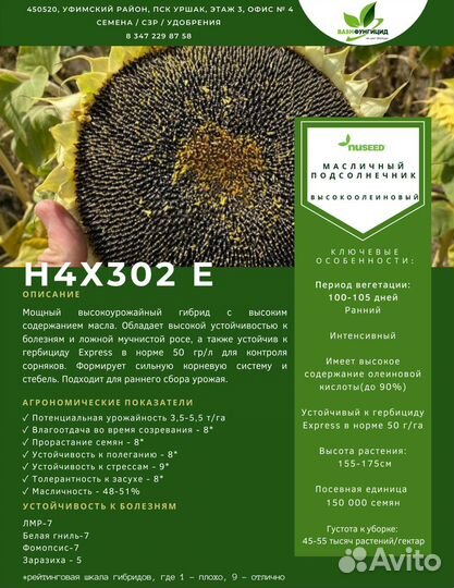 Cемена подсолнечника Н4Х302Е (Nuseed)