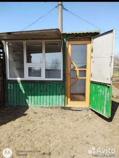 Жеребчик обмен