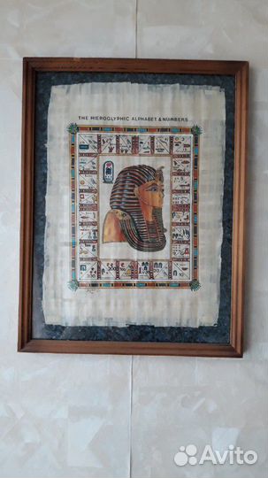 Папирусы в рамке под стеклом