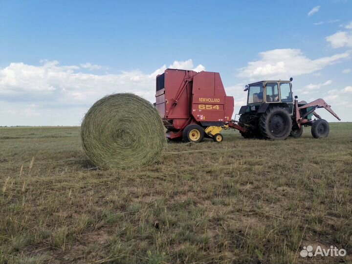 Продам сено в рулонах