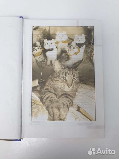 Энциклопедия о кошках