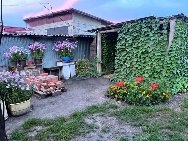 Дом 46 м² на участке 25 сот.