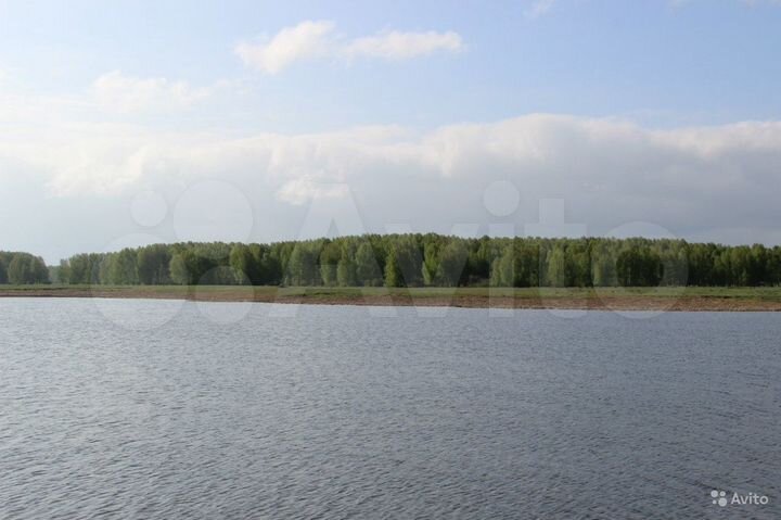 Участок 100 сот. (СНТ, ДНП)