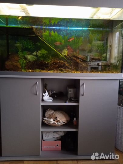 Аквариум с рыбками