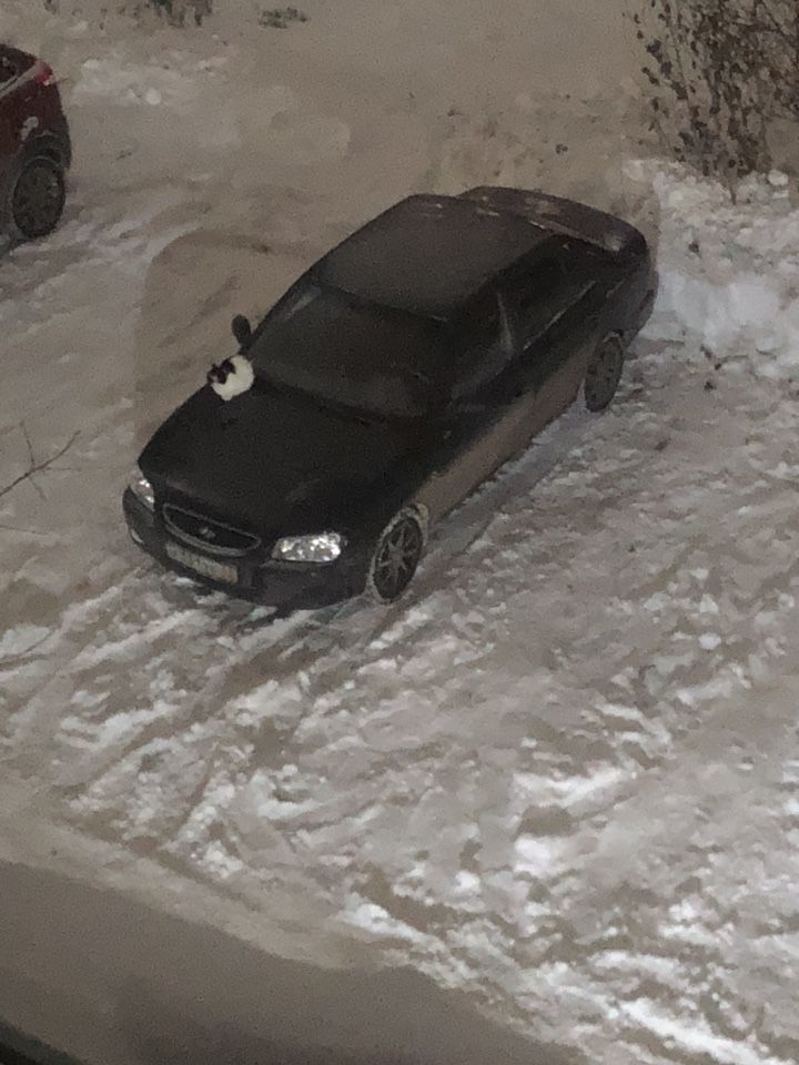 Hyundai Accent: фото владельца