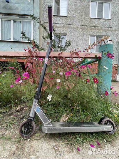 Самокат tech team ragtag 2022