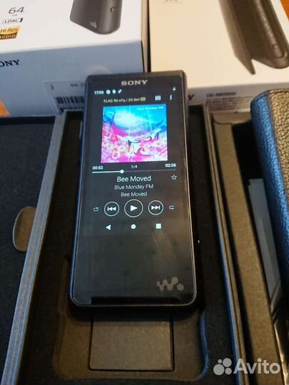 Sony NW-ZX507