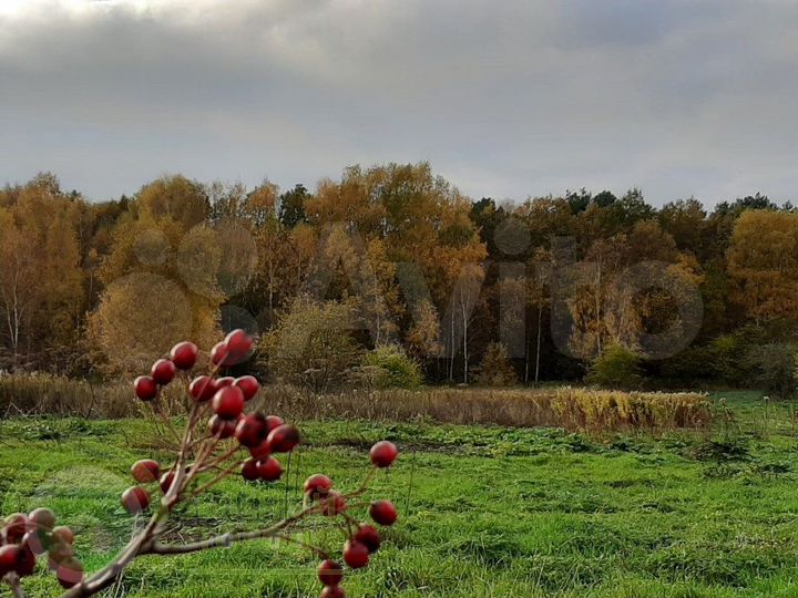 Участок 9,8 сот. (ИЖС)