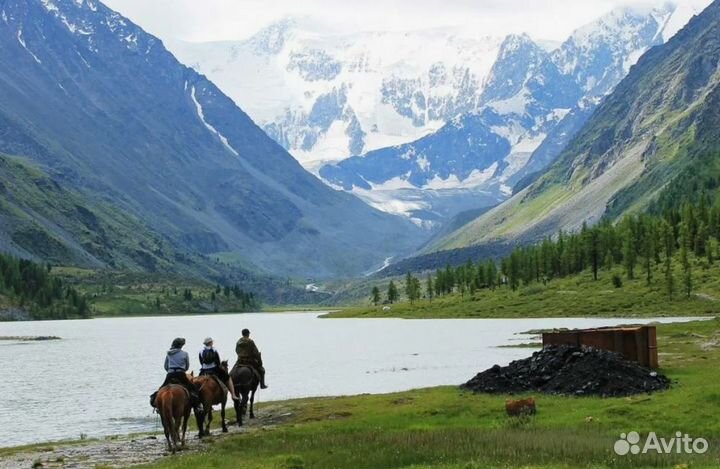 Тур путевка Горный Алтай на 6 ночей