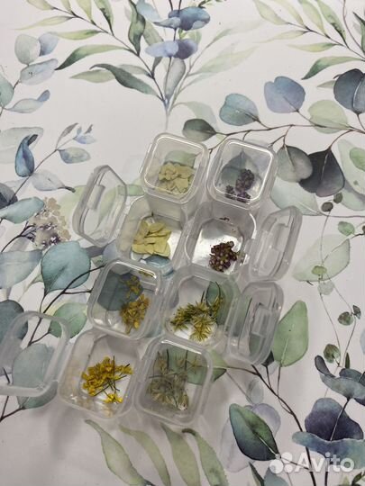 Сухоцветы для маникюра