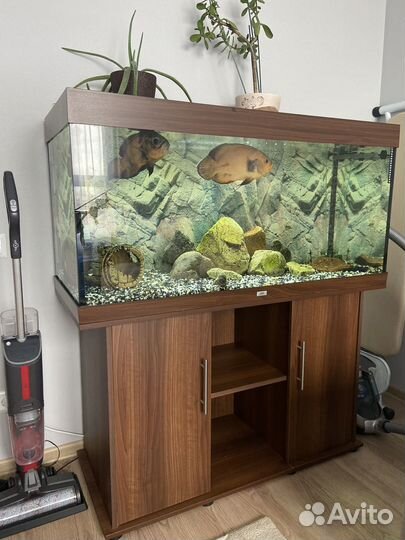 Аквариум Juwel 300