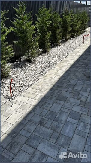 Тротуарная плитка брусчатка