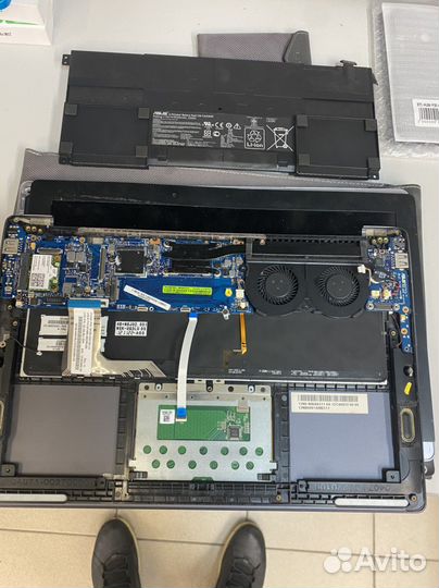 Asus taichi 31